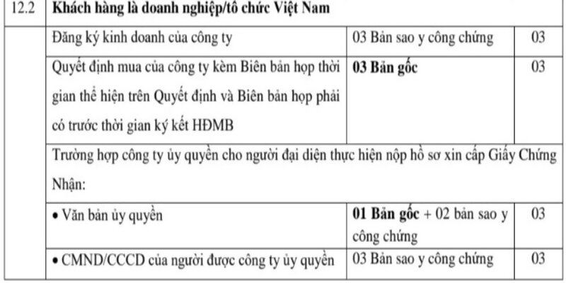 Doanh nghiệp/tổ chức Việt Nam xin cấp sổ hồng